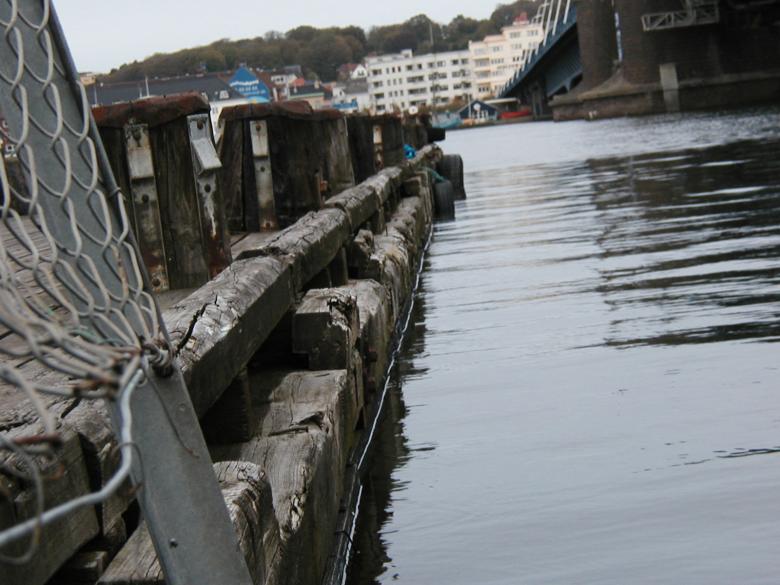 Free stock image of By the fjord created by Bjorgvin