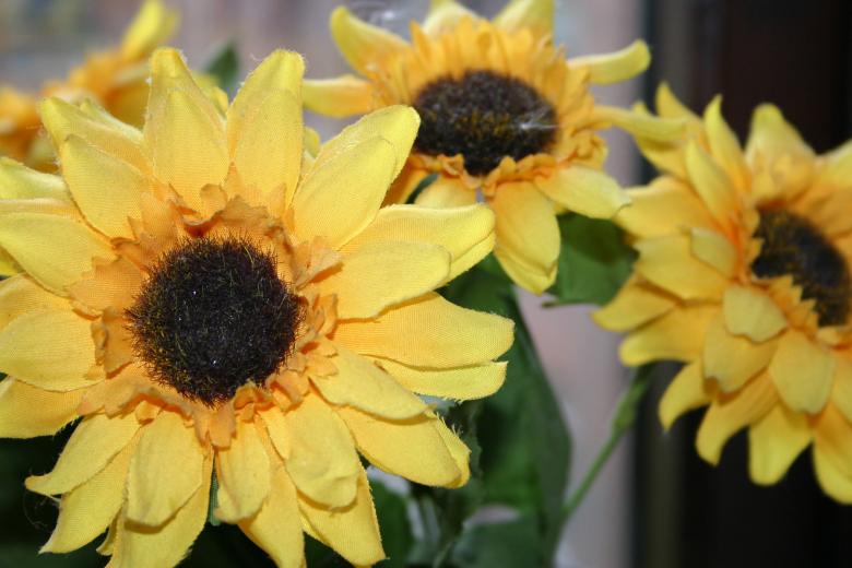 Free stock image of Yellow fake flowers created by Bjorgvin