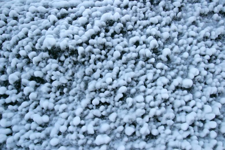 Free stock image of Icy ground created by Héðinn