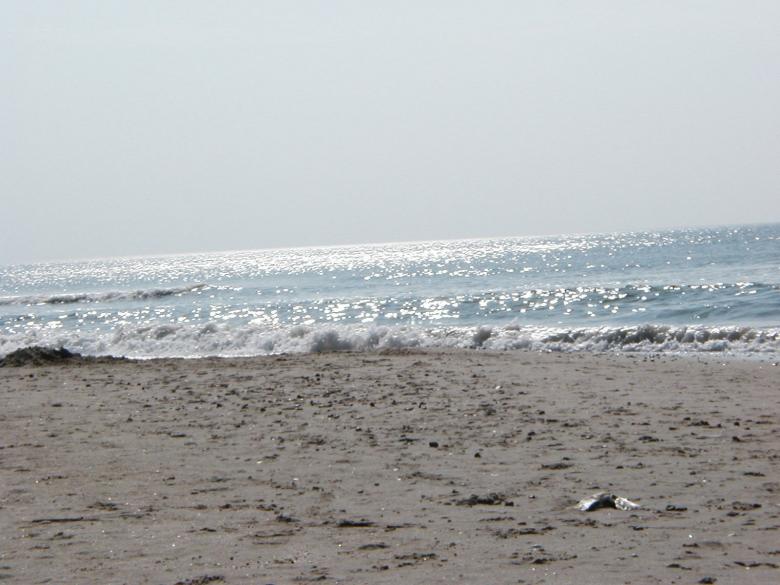 Free stock image of Beach created by Bjorgvin