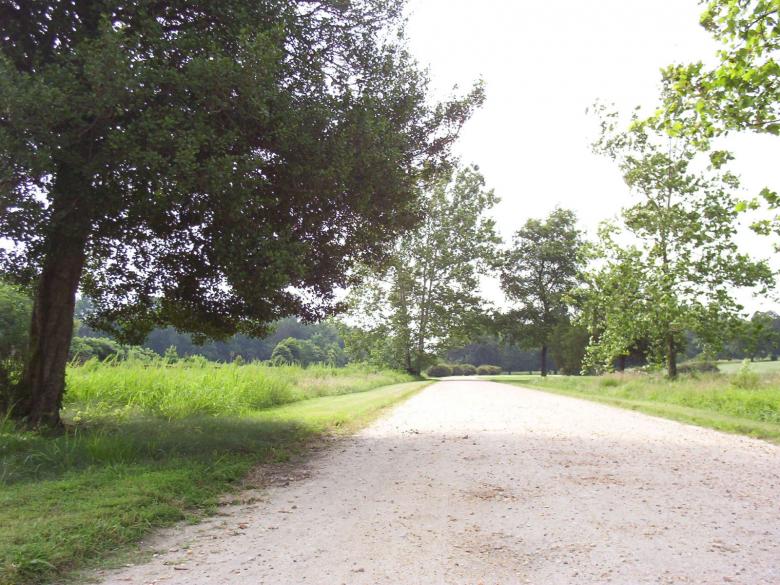 Free stock image of Country road created by g2