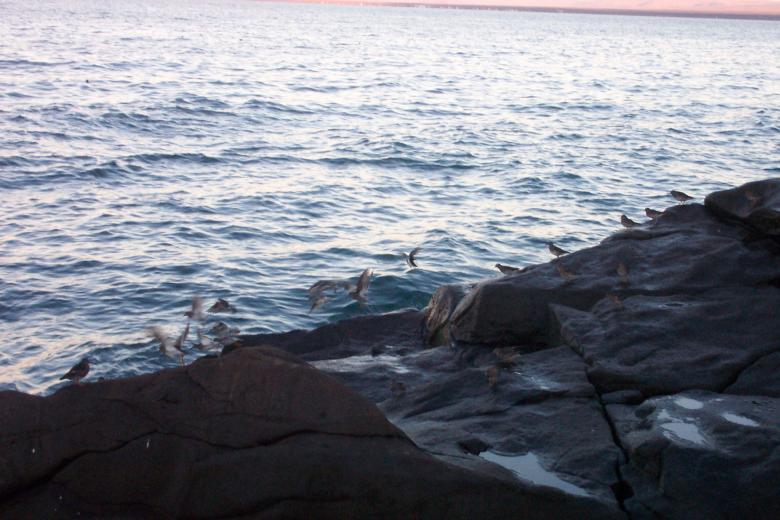 Free stock image of Coast created by Héðinn