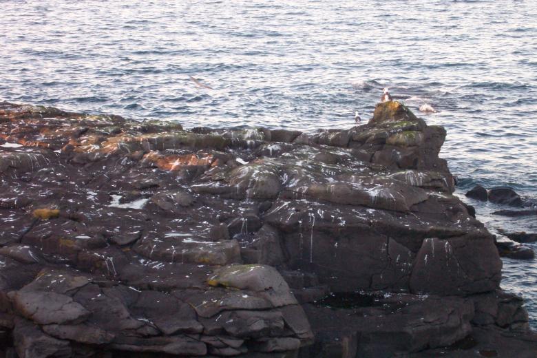Free stock image of Cliffs by the sea created by Héðinn