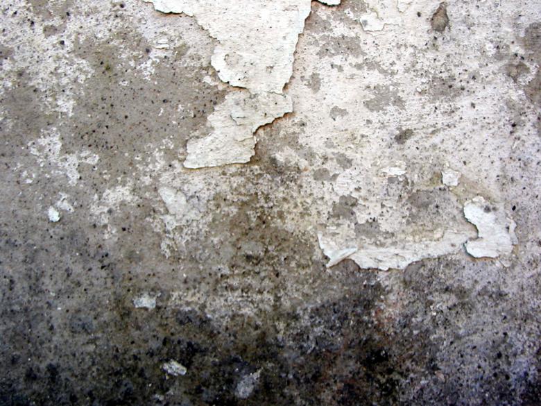 Free stock image of Grunge wall surface created by Bjorgvin