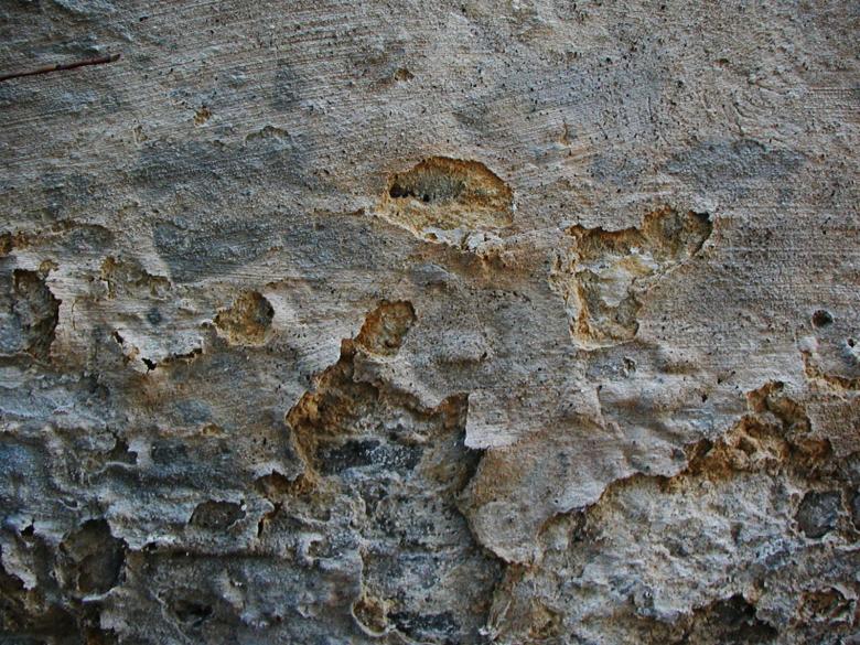 Free stock image of Concrete texture created by Bjorgvin