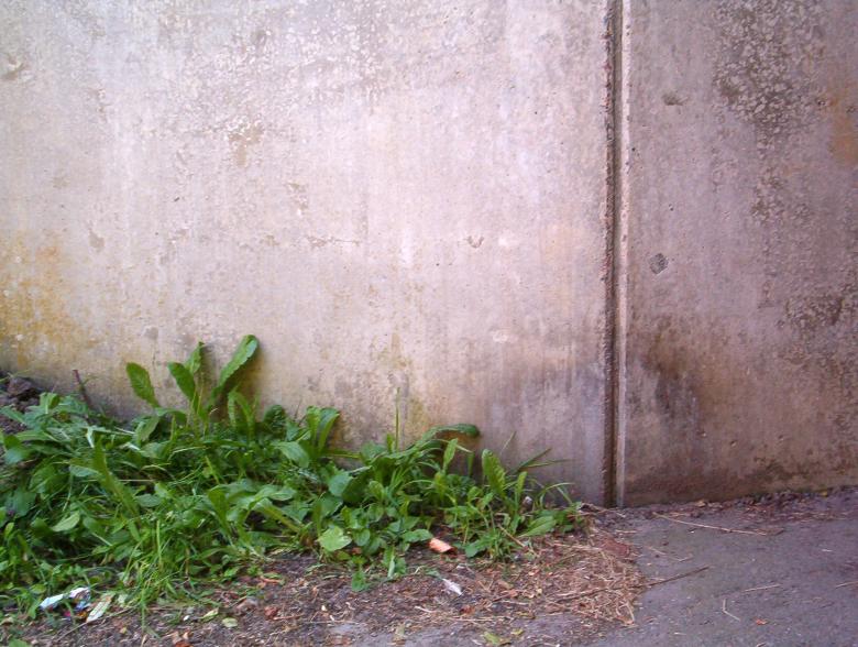 Free stock image of Wall texture created by Bjorgvin