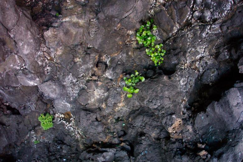 Free stock image of Stone surface created by Bjorgvin