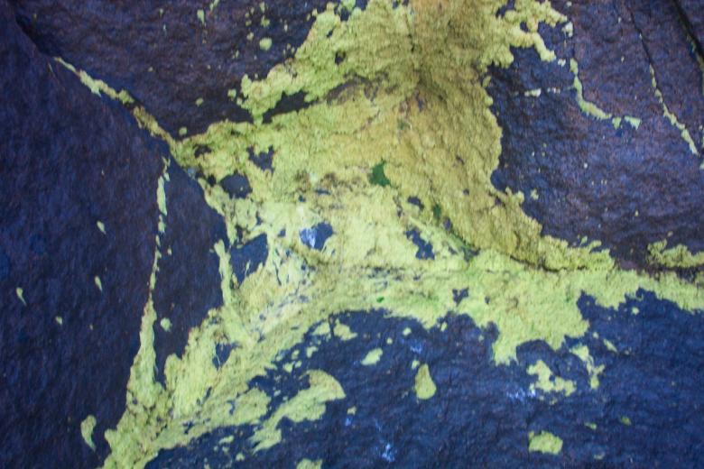 Free stock image of Green goo on rock created by Bjorgvin