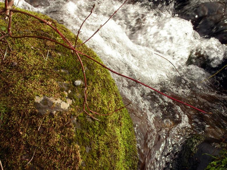Free stock image of River side created by collin votrobeck