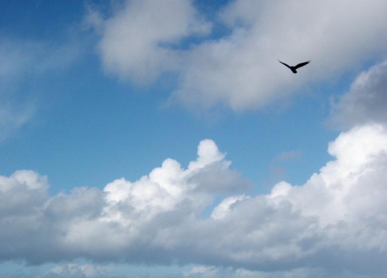 Free stock image of Sky created by Bjorgvin