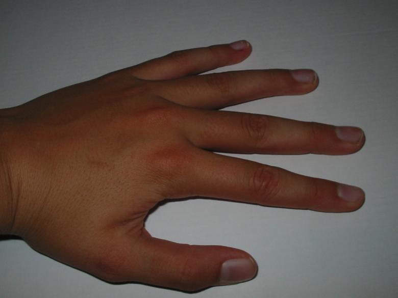 Free stock image of Hand created by prime