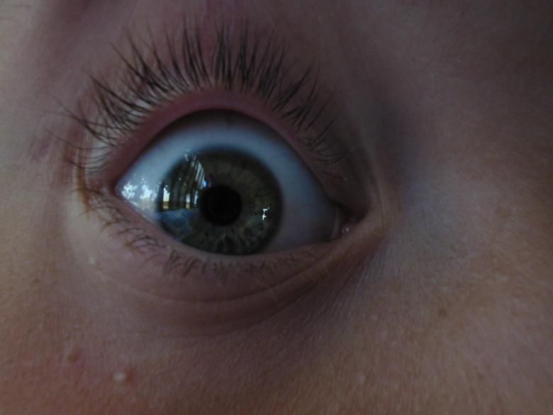 Free stock image of Eye created by prime