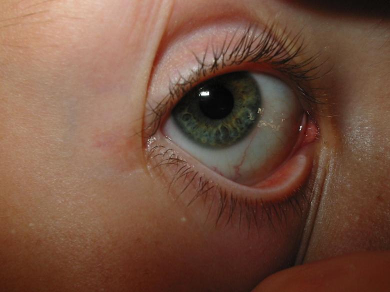 Free stock image of Eye created by prime