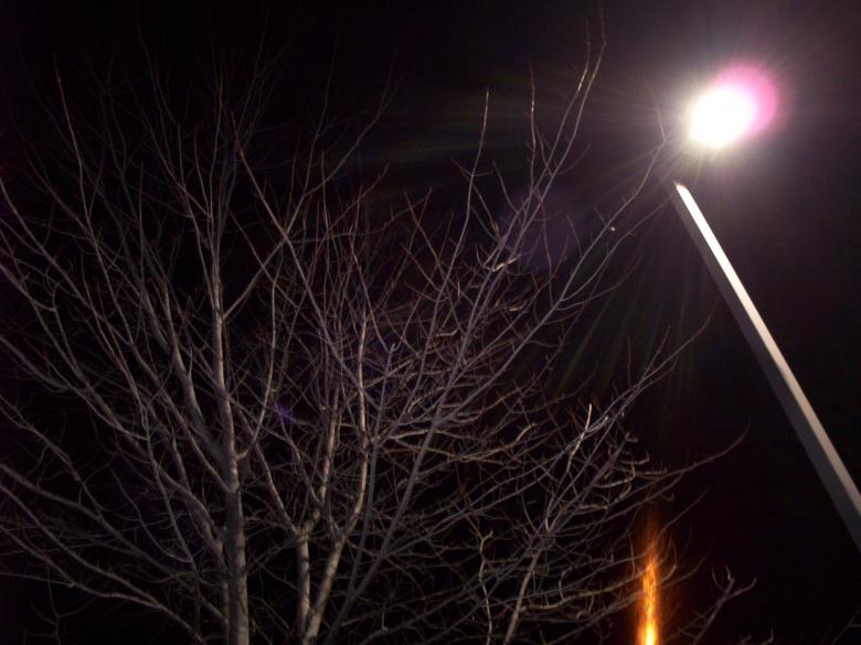 Free stock image of Light Effects at Night created by Bjorgvin