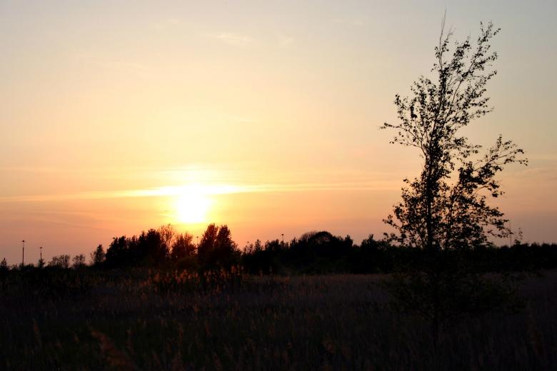 Free stock image of Landscape silhouette created by Bjorgvin