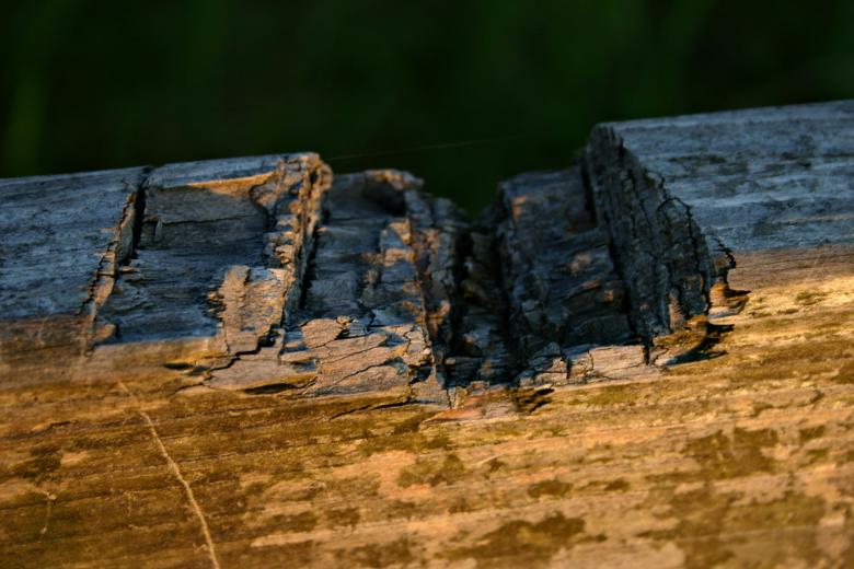 Free stock image of Wooden texture created by Bjorgvin