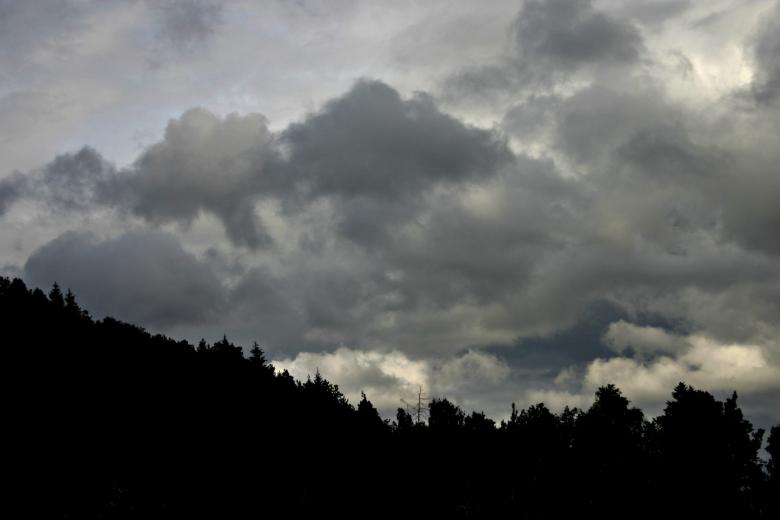 Free stock image of Trees agains a cloudy sky created by Bjorgvin