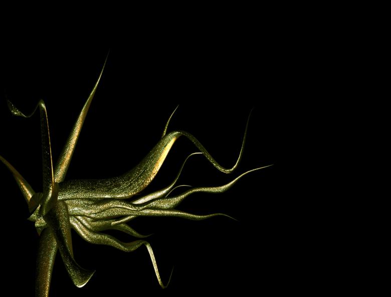 Free stock image of Tentacles created by Bjorgvin