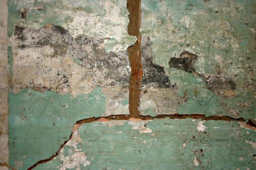 Free Stock Photo of Green cracked texture
