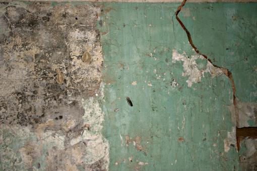 Free Stock Photo of Cracked green concrete