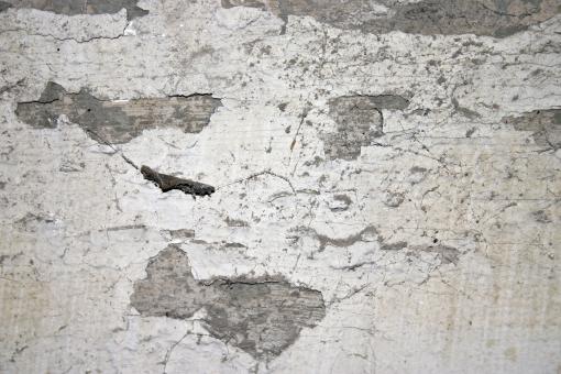 Free Stock Photo of Concrete wall texture