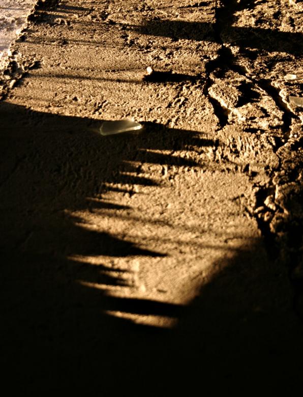 Free stock image of Glass and shadows created by Bjorgvin
