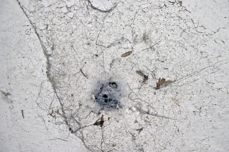 Free stock image of Old spider web created by Bjorgvin