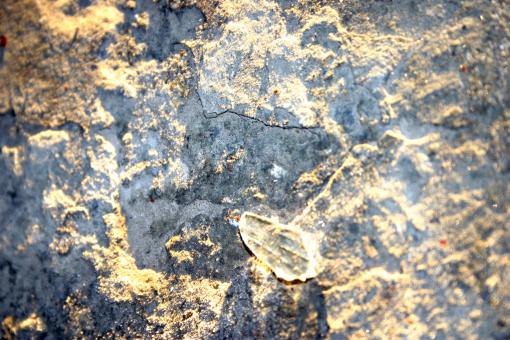 Free Stock Photo of Stone surface