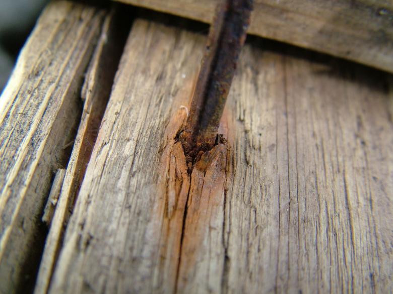 Free stock image of Wood texture created by ole kristen johansen