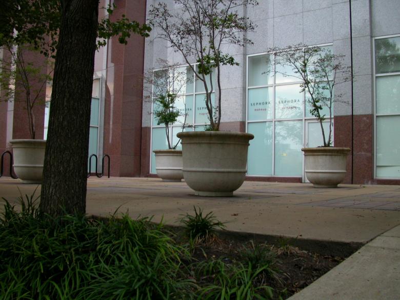 Free stock image of Pot plants standing on a porch created by raymond henry