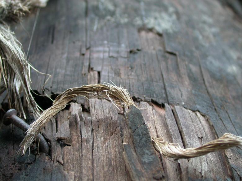 Free stock image of Wood texture created by raymond henry