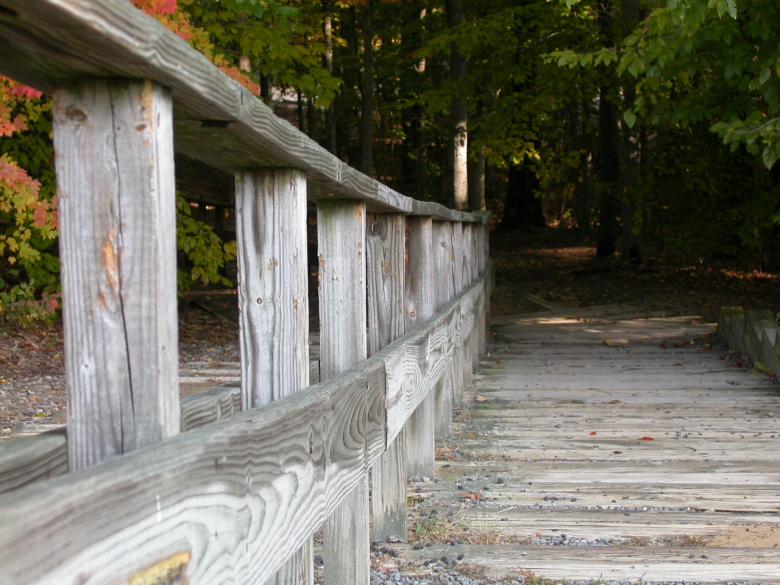 Free stock image of Wood stairs created by raymond henry