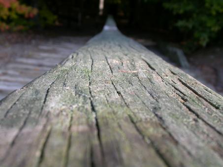 Free Stock Photo of Wood texture