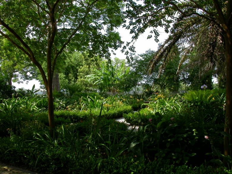 Free stock image of Sommer in the garden created by raymond henry