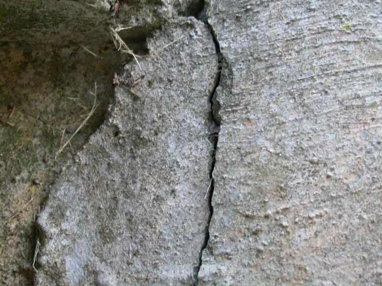 Free stock image of Cracked Concrete created by raymond henry