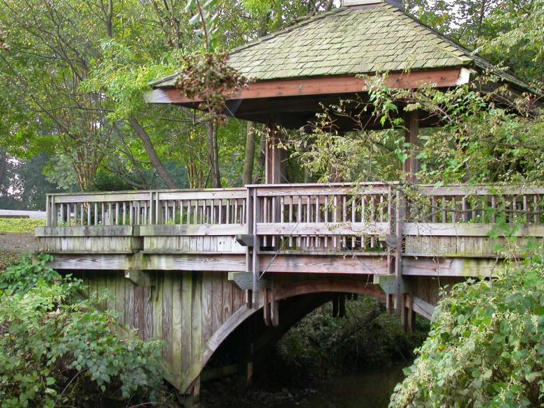 Free stock image of Wooden bridge created by raymond henry