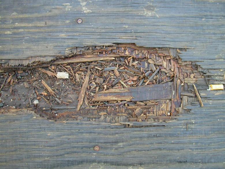 Free stock image of Wood texture created by raymond henry