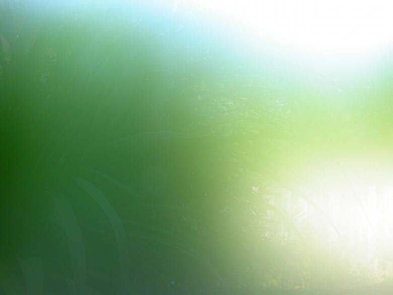 Free stock image of Greenish window created by raymond henry