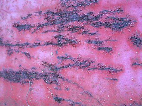 Red Rust - Free Stock Photo