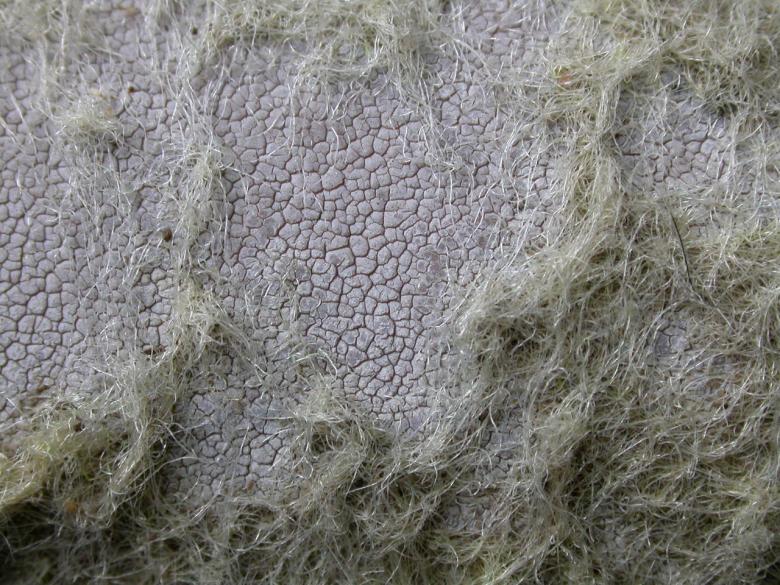 Free stock image of Rocky texture created by raymond henry
