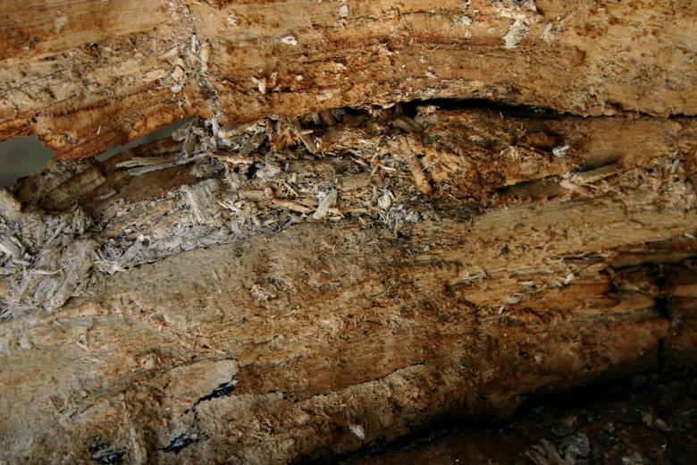 Free stock image of Wood texture created by Bjorgvin