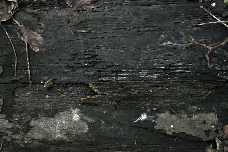 Free stock image of Wood texture created by Bjorgvin