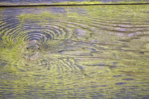 Free Stock Photo of Wood texture
