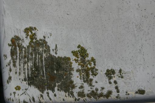 Concrete wall - Free Stock Photo