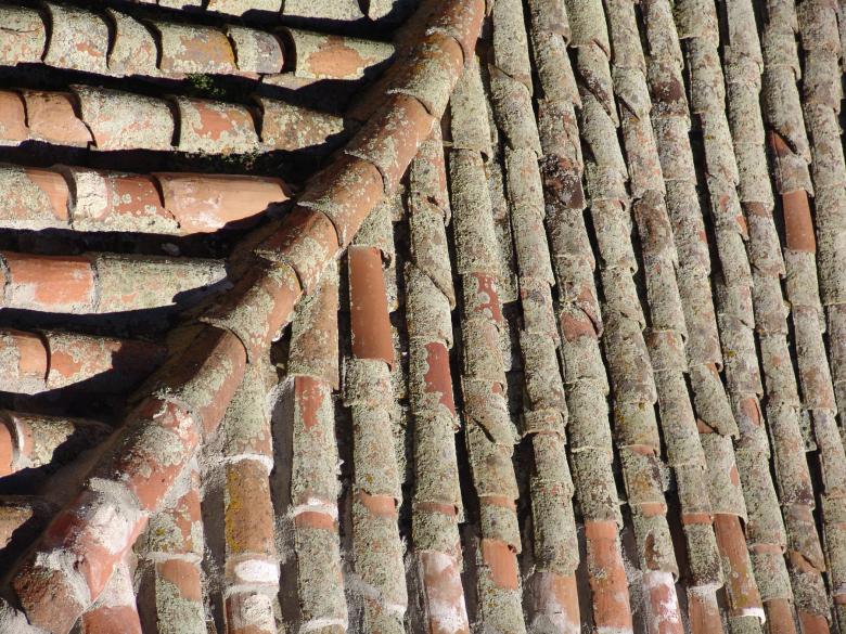 Free stock image of Roof tiles created by javier baranda