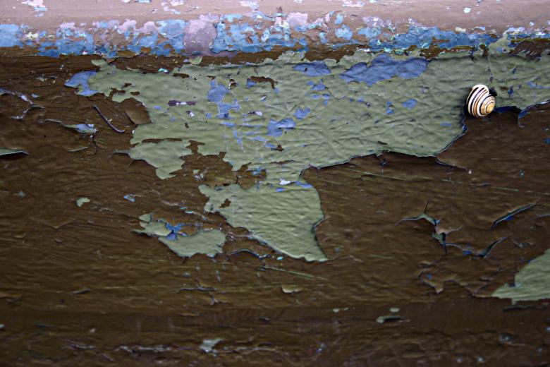 Free stock image of Peeled paint created by Bjorgvin