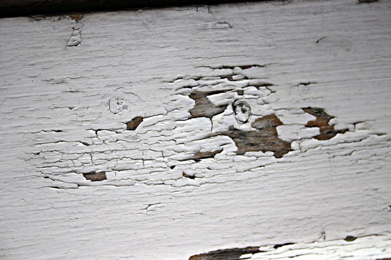 Free stock image of Peeled paint on wood created by Bjorgvin