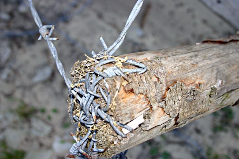 Free stock image of Barbed wire closeup created by Bjorgvin
