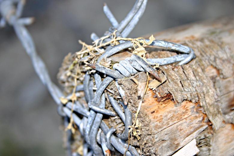 Free stock image of Barbed wire closeup created by Bjorgvin