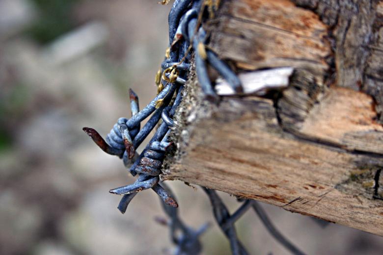 Free stock image of Barbed wire closeup created by Bjorgvin